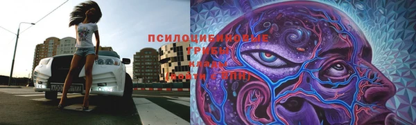 таблы Алзамай