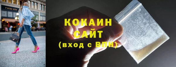 соль ск Алексин