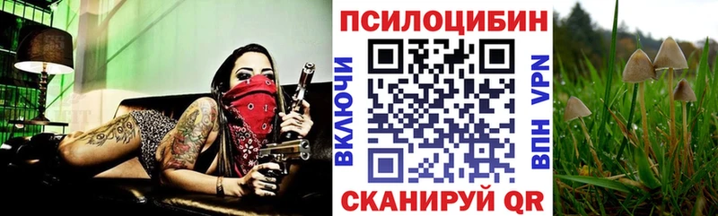 закладки  Люберцы  ОМГ ОМГ ССЫЛКА  Галлюциногенные грибы прущие грибы 